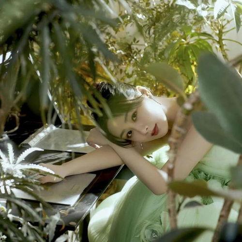 娱乐圈八卦爆料最新白鹿视频,娱乐圈神秘事件再掀波澜 第3张 娱乐圈八卦爆料最新白鹿视频,娱乐圈神秘事件再掀波澜 第3张